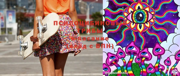 твердый Абаза