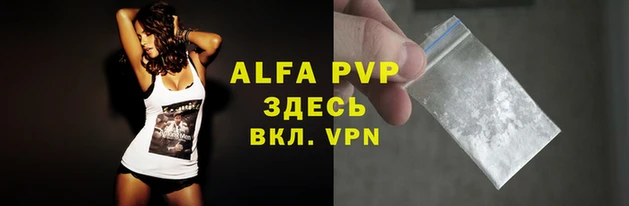 твердый Абаза