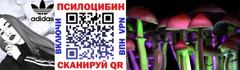 Псилоцибиновые грибы GOLDEN TEACHER  где купить наркотик  нарко площадка какой сайт  Донецк 